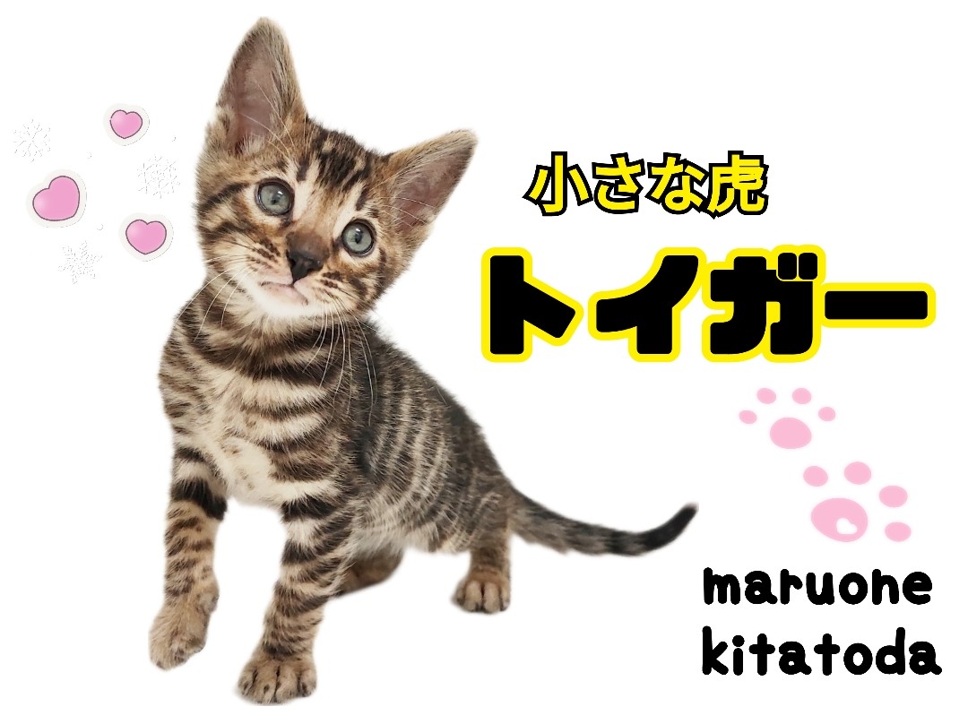 ddc1cba063ac219d8c06e56217937f