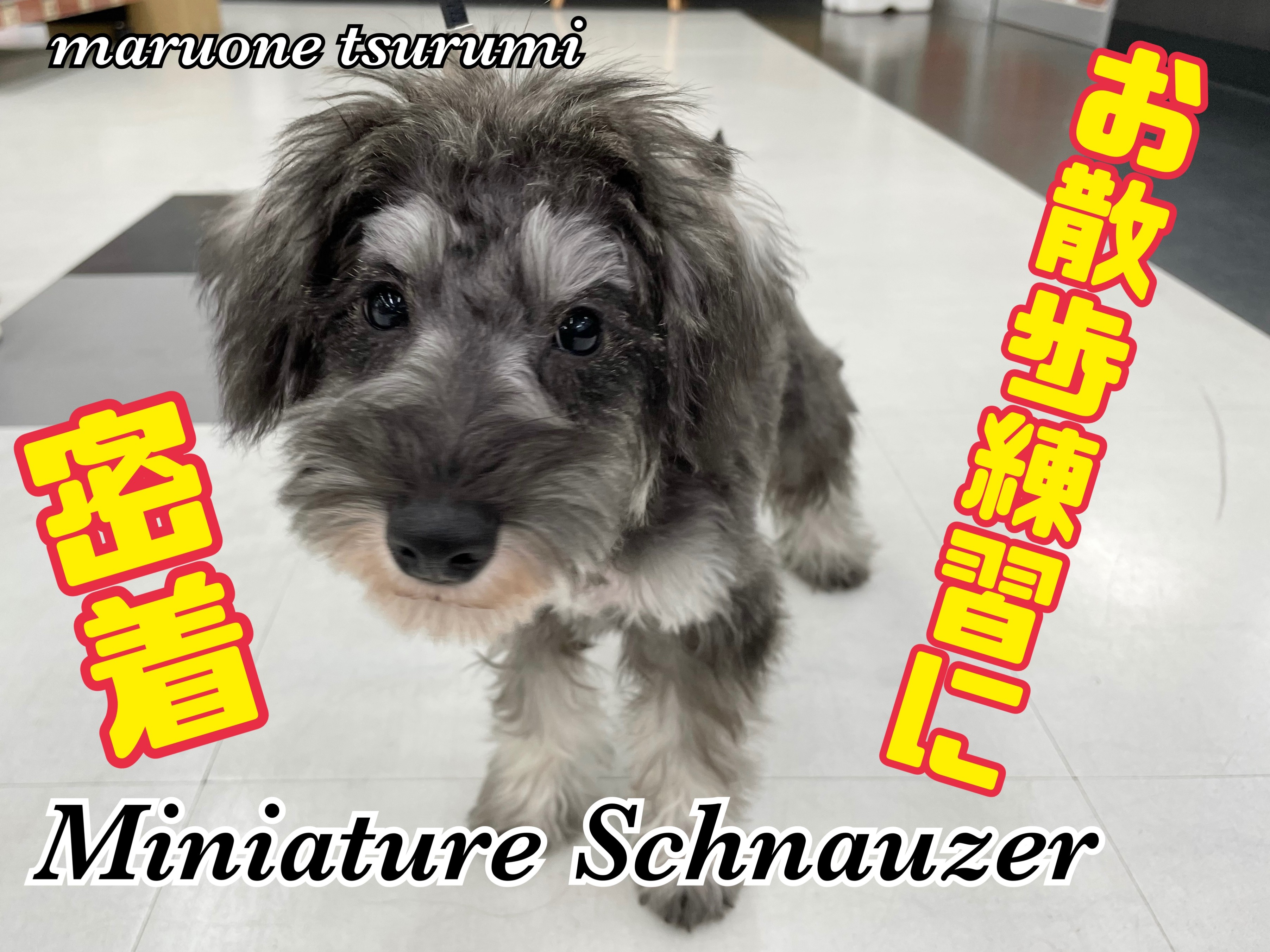 136ff0b8de35825746d7df693e70a6