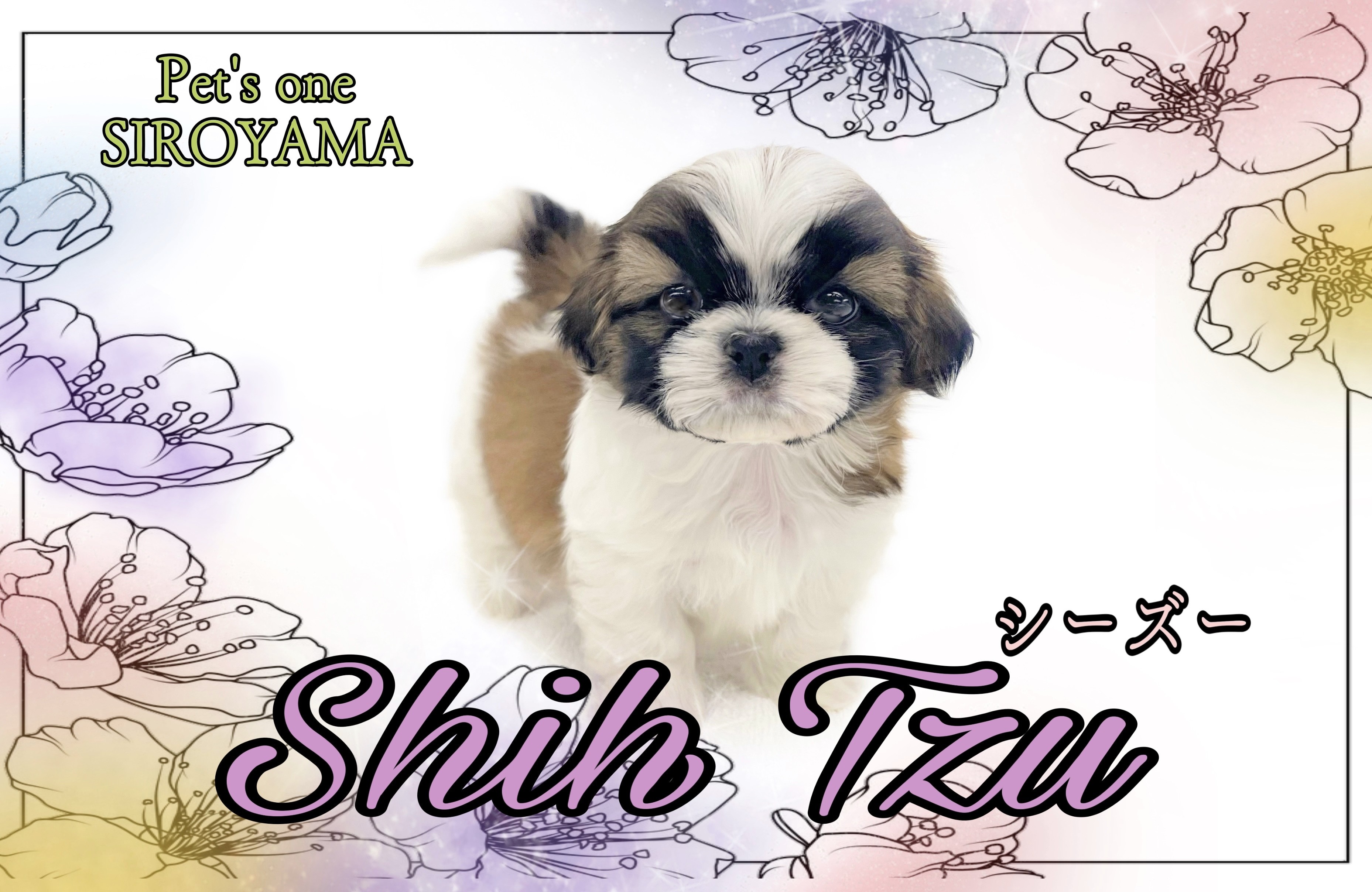 a3bcad42cb1ffc7768e744bf383210