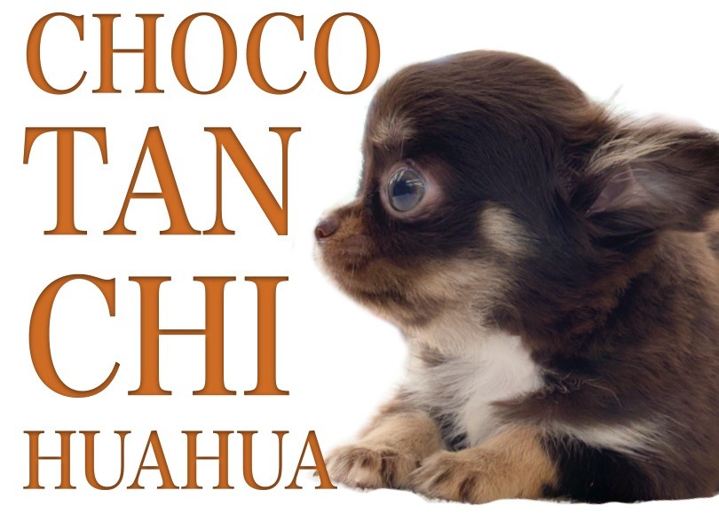 b0ab7c581ef69e6c38fb1f44cc7031