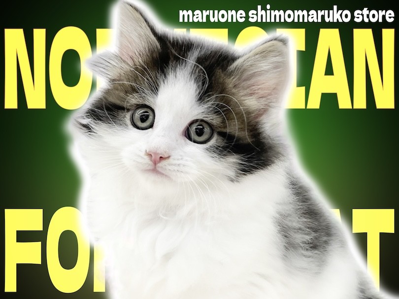 f0e2a6e7590b8983a9f3d62d3762ce