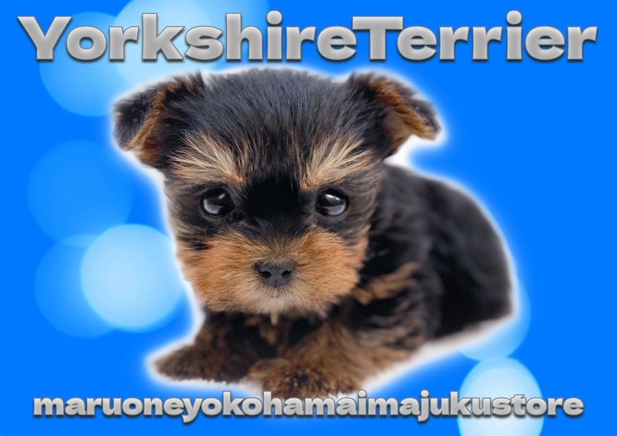 a05a8f73e0aaf916343d82b98661e5