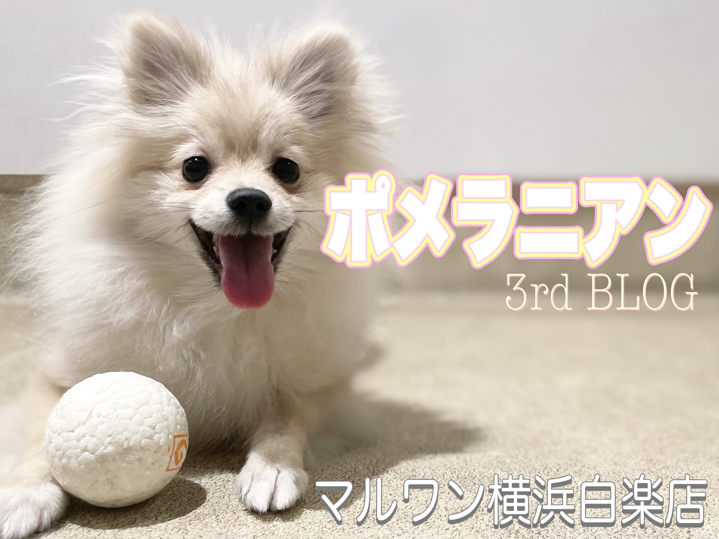 b499c55ccc2641faab452406f84f47