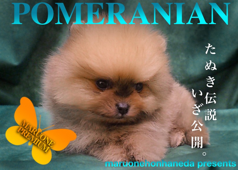 d1c74a1db9a648c99ea28ab642c518