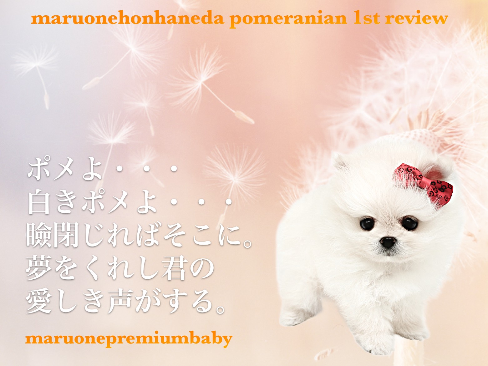 6854b0460912f5418900ab03d6fca4