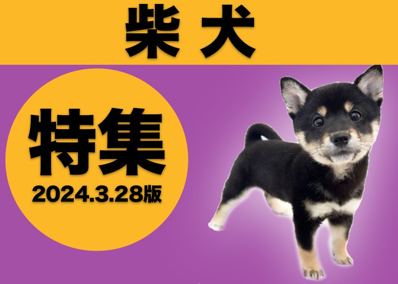 aeecf41df6abad8146f6cf30301917  