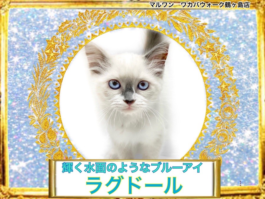 959df399d0c8894857bfebc6469369