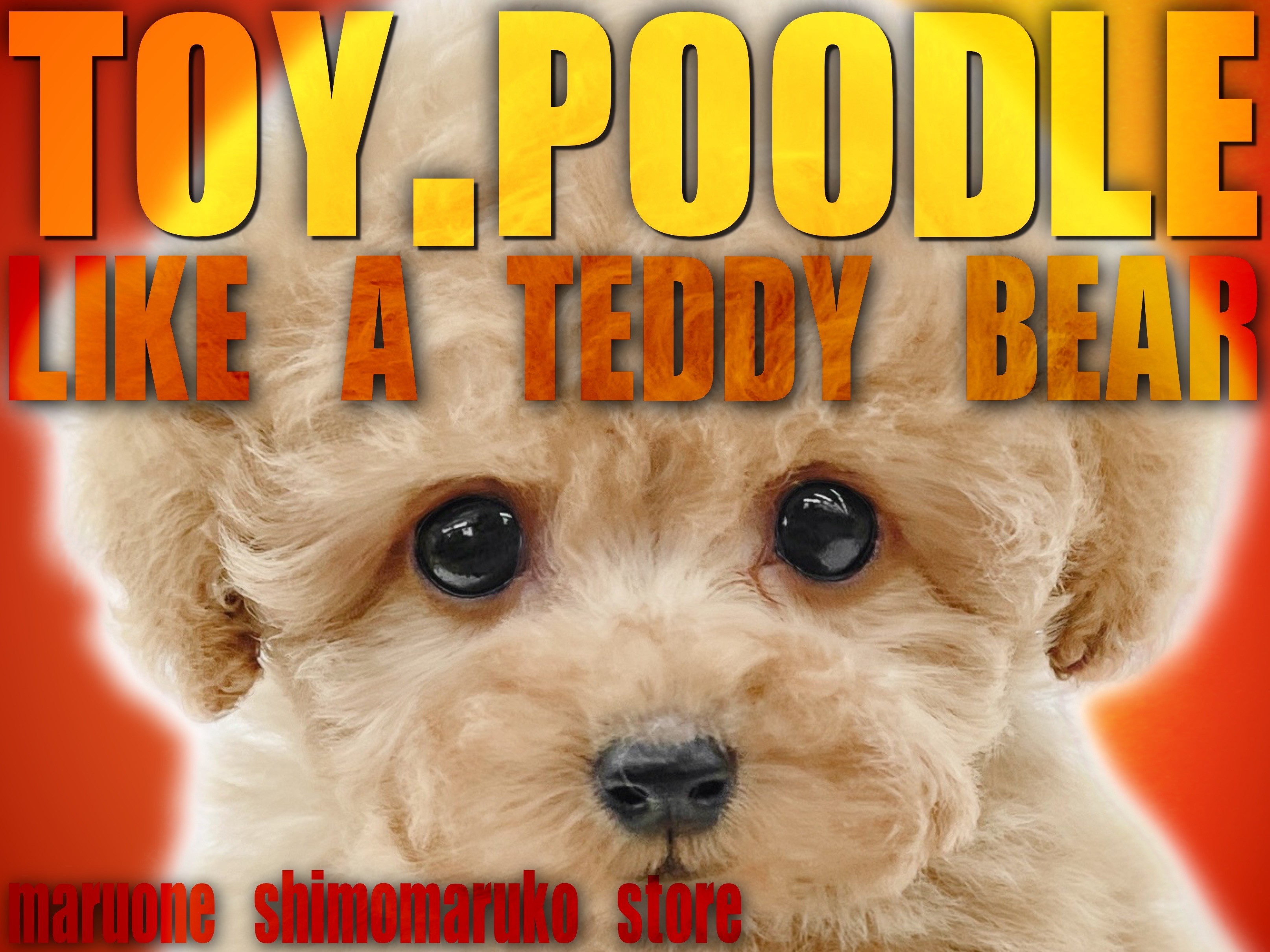 cedf4617e3e8bb0f98909c9282b4c3