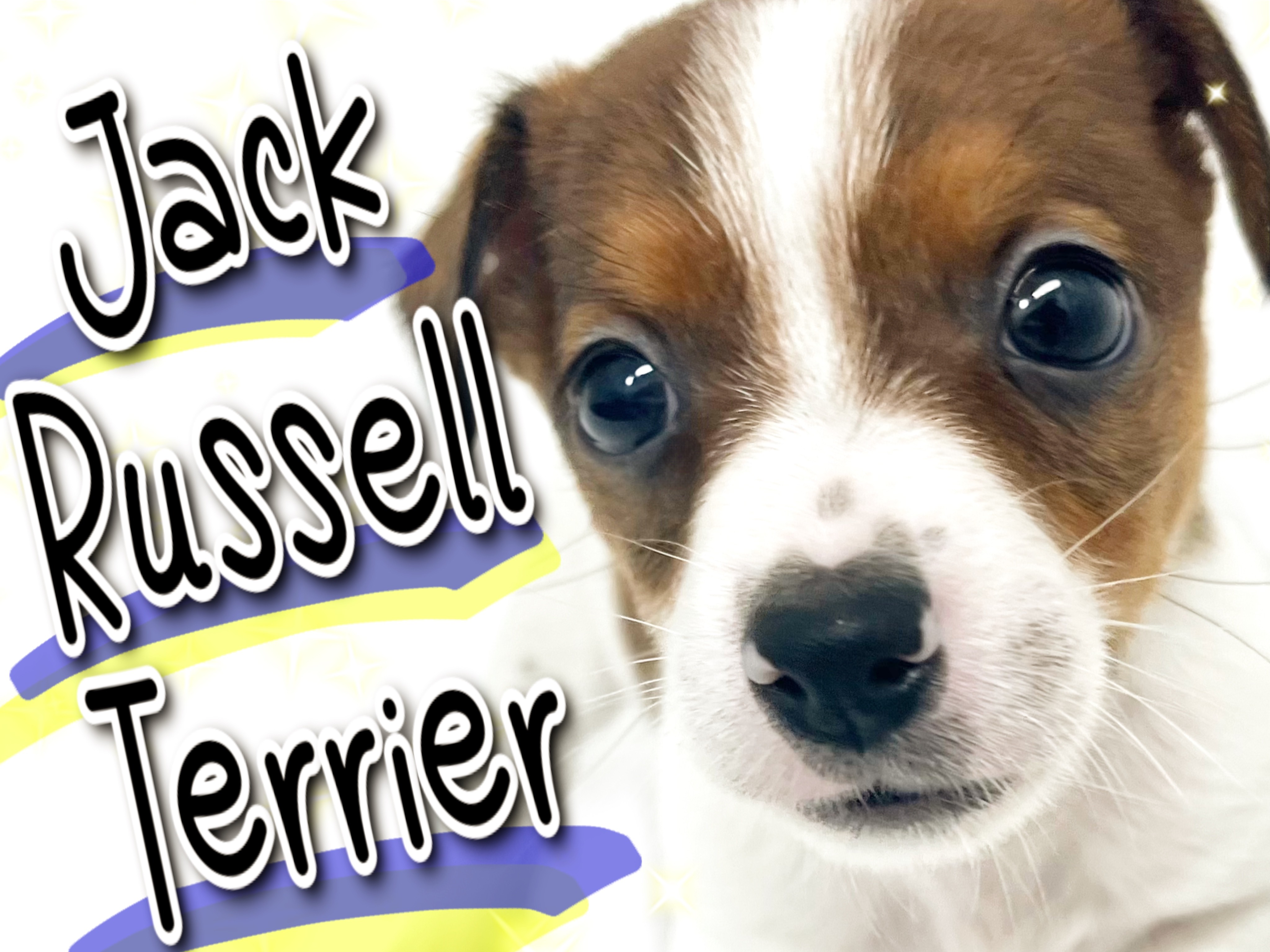 4b9c53dccac4d1aa391df264cb1e14