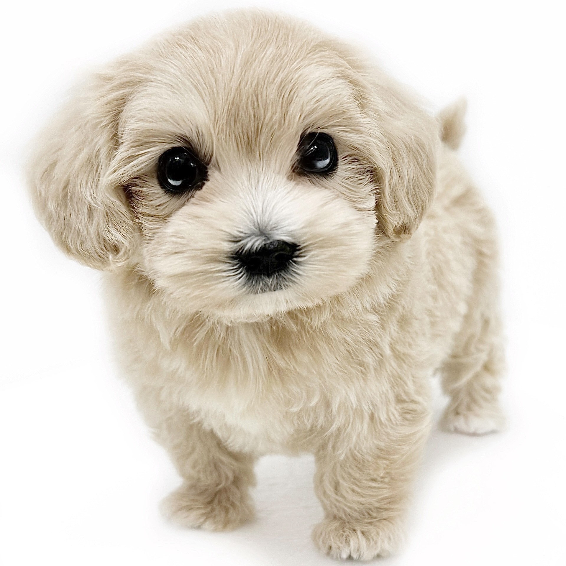 5383d31eed012cf661bf61960a2a0e