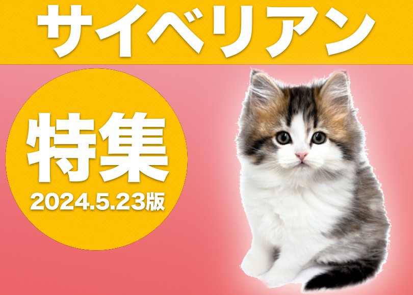 サイベリアン特集 】5/23現在在店中のゴージャスにゃんこ！最新動画