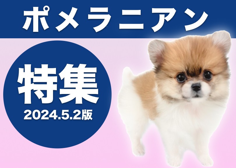 9286d0b16c5c87bda3e879cb87b7a3