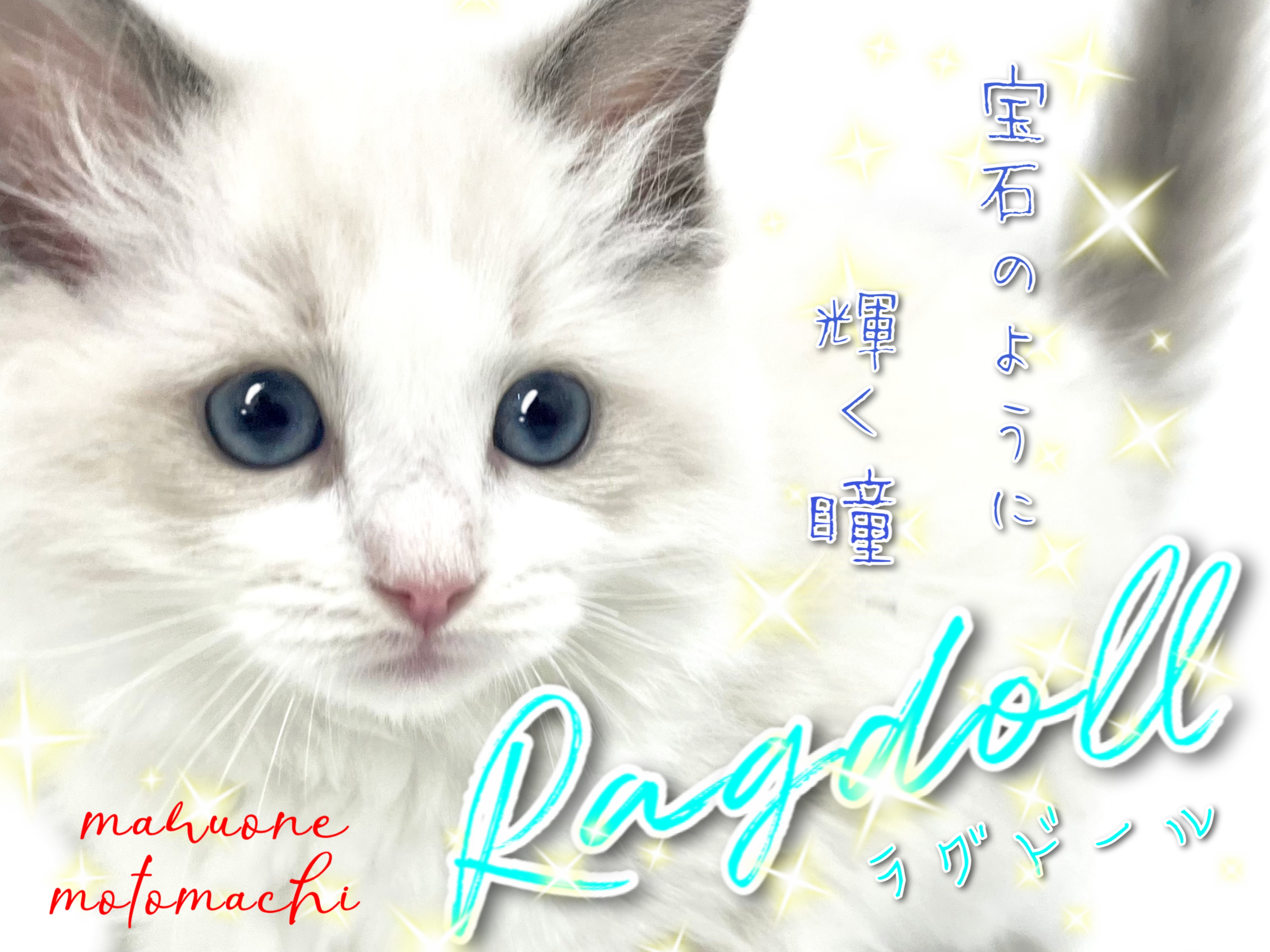 aedd54903ea6961b85b2d777c8dd3b