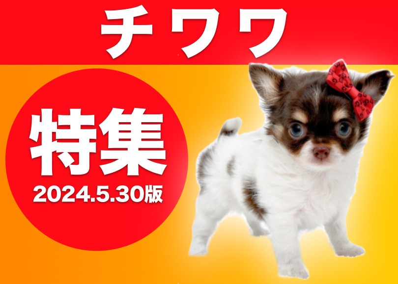 d2698ac0986d36b1ad97c0246777f4