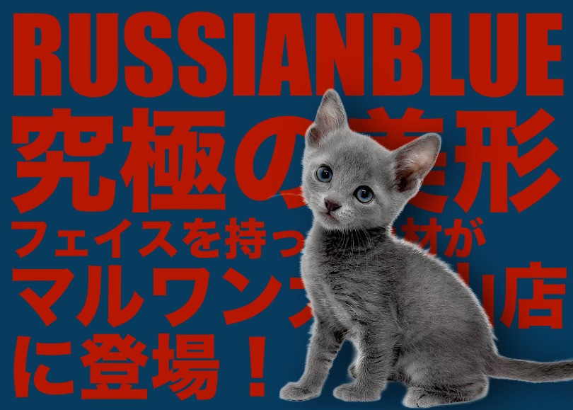 dcc7175a72a11a3a60f45866ab952f