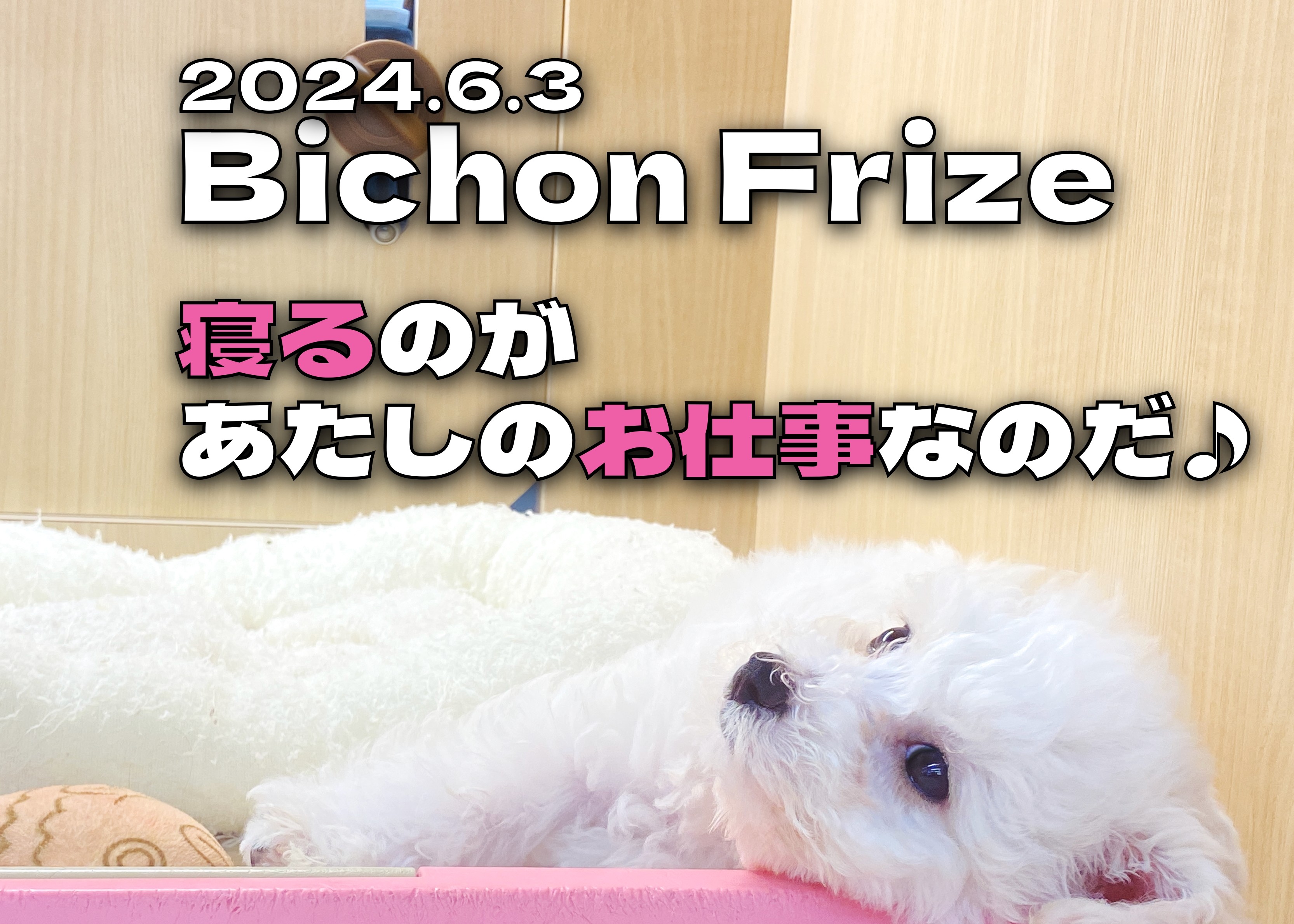 127bebd7da8d9ba2ccb03f4bb057d3 