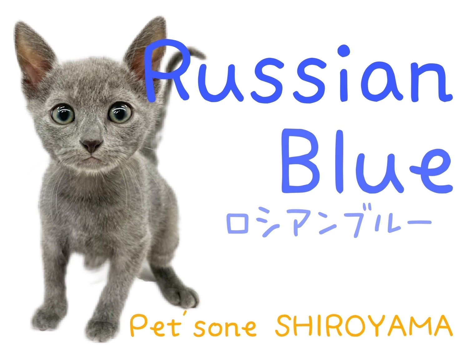 0255dfd5f859e123bf8b8d13a2fa26