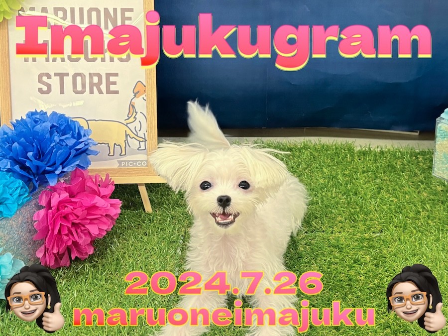 0f92f73138772bb990e92fcb38269c