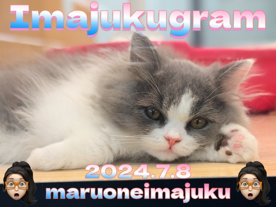 イマジュクグラム 】猫ちゃんたちの肉球を激写！だれの肉球でしょう