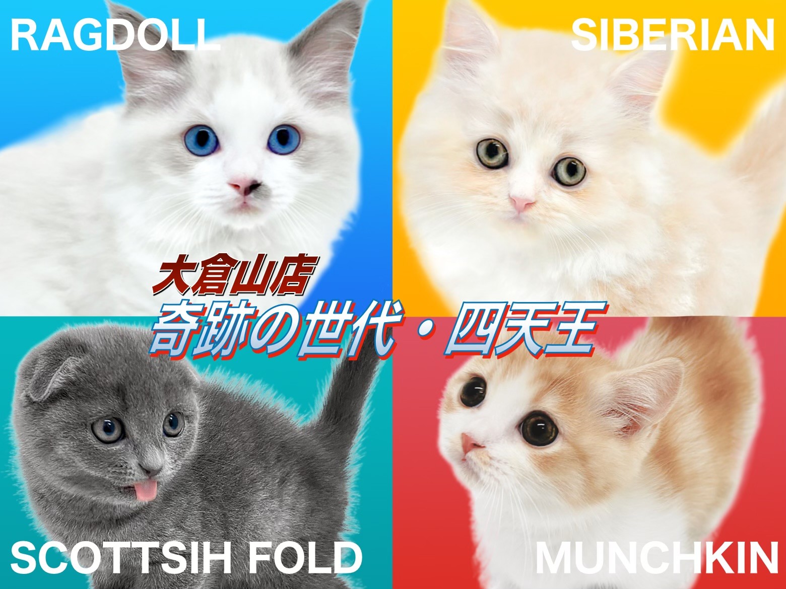 576ad825c3c3deaa1aa628d91b86c2