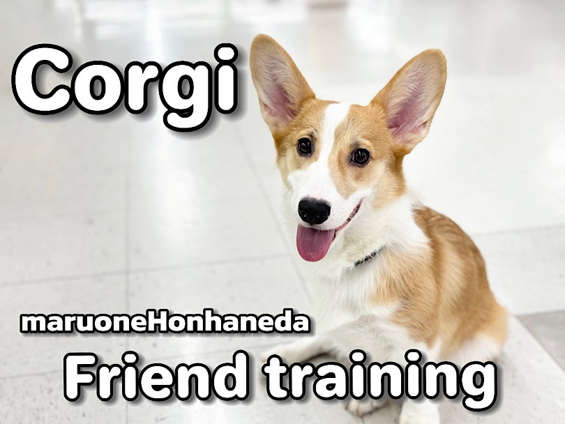 cb97164c9ce0ebb9efa2024bd8d80b