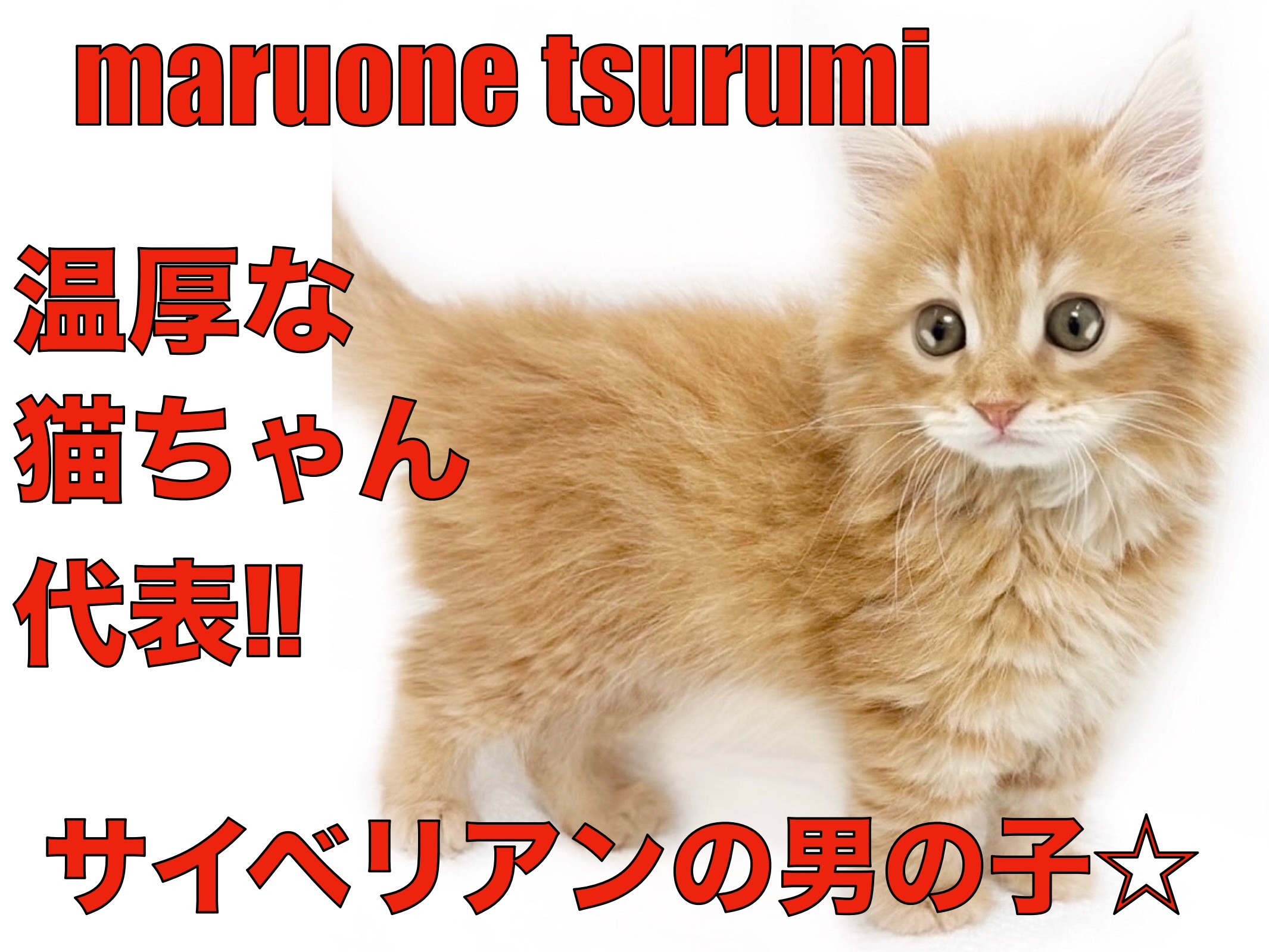 479b8b7f5466a92bc880cbe22c688b