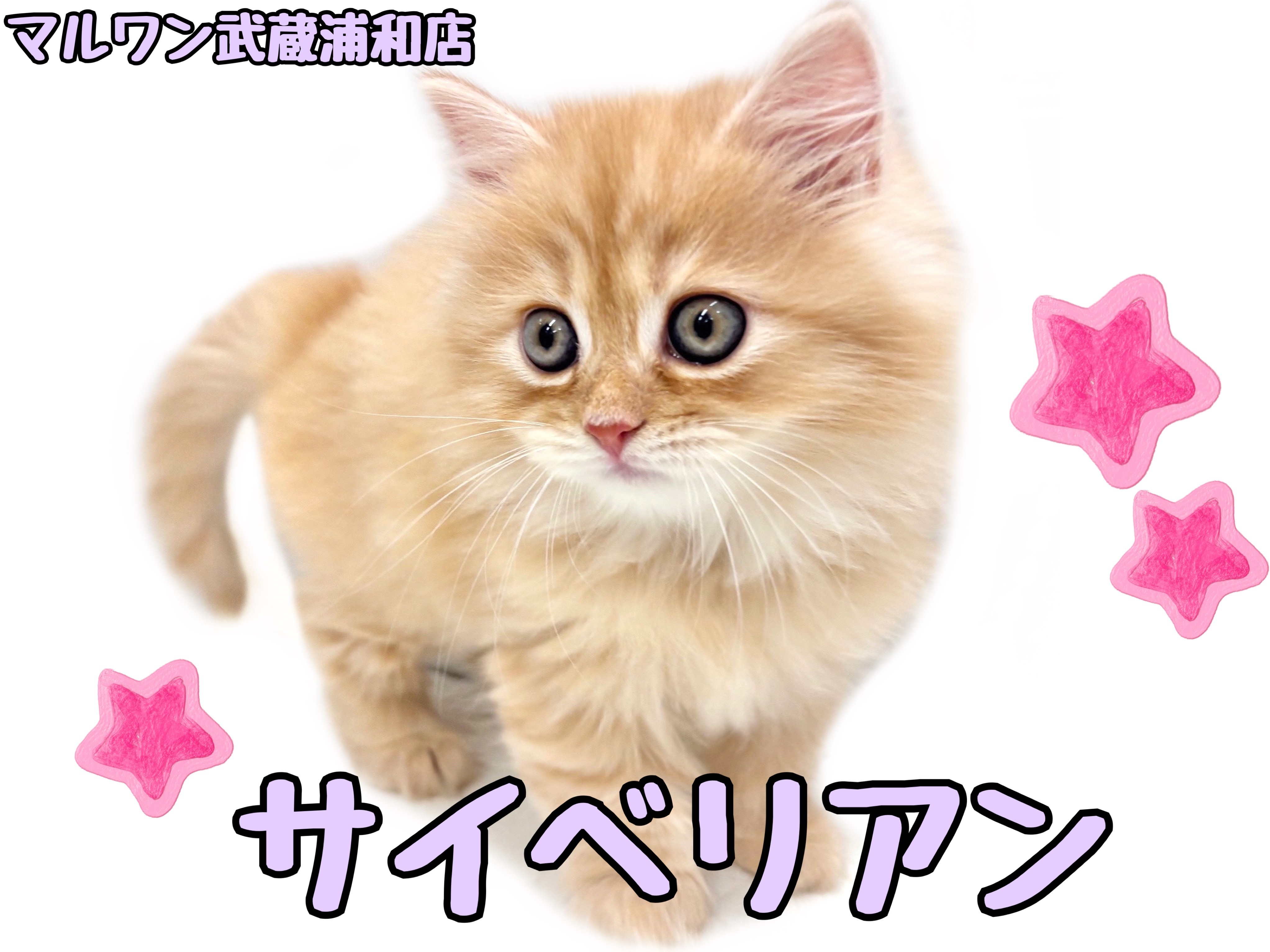 67370185a7c799f303942c1edd395e