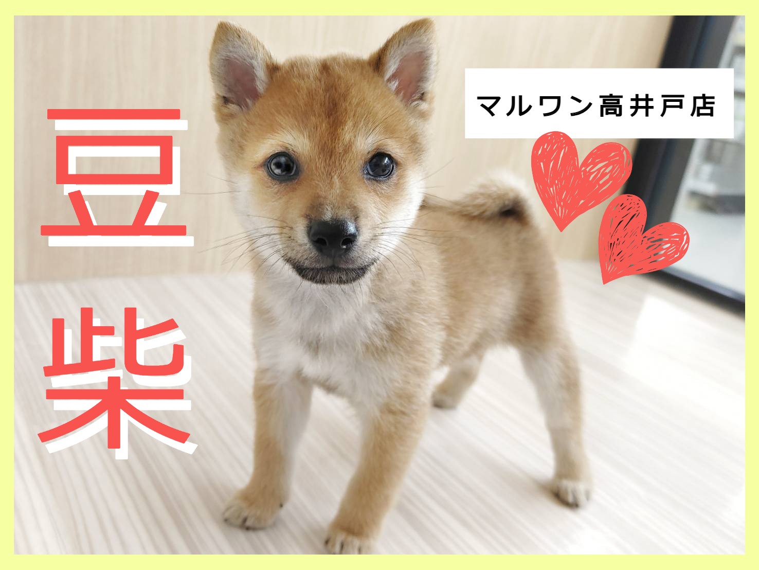 93b5fe0572f455c6458665a3c118bf