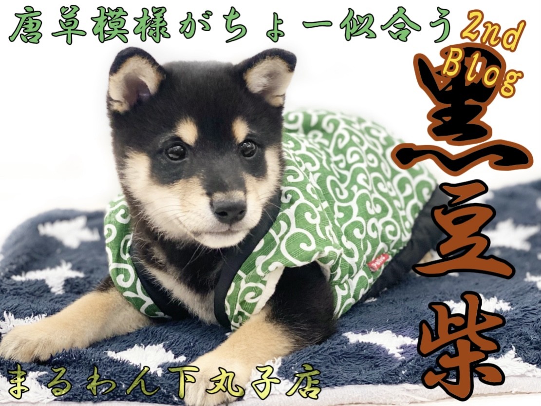 a0aa0151f92c5cecd3f8a971de8afb