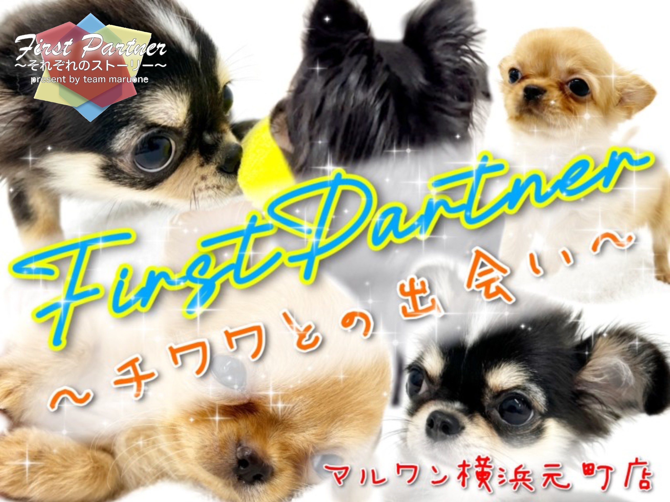 b2d47b63fb7a0ce7c0b0f255f4578a