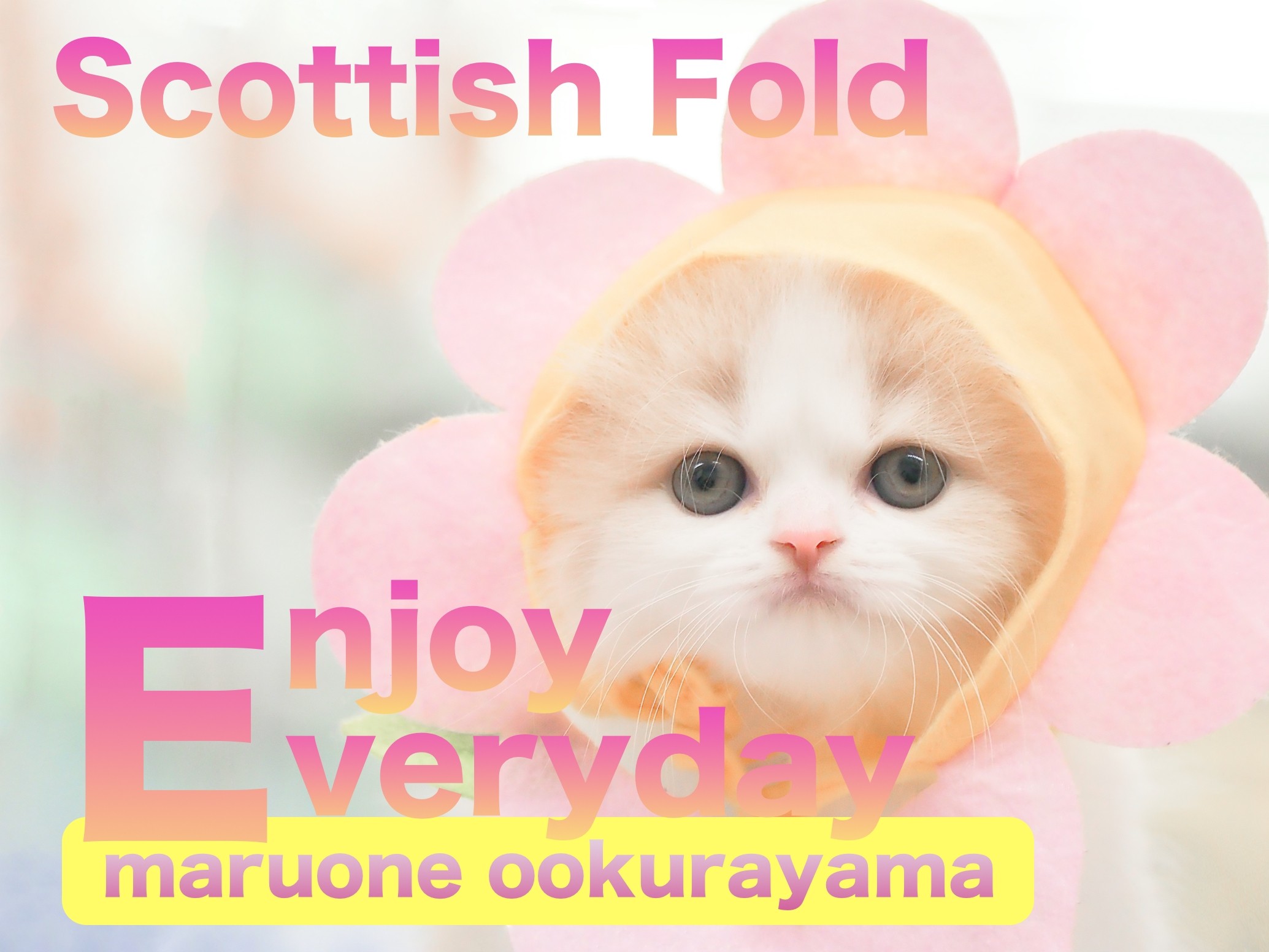 f08bf2d12510049a4659bc4a0f96d6