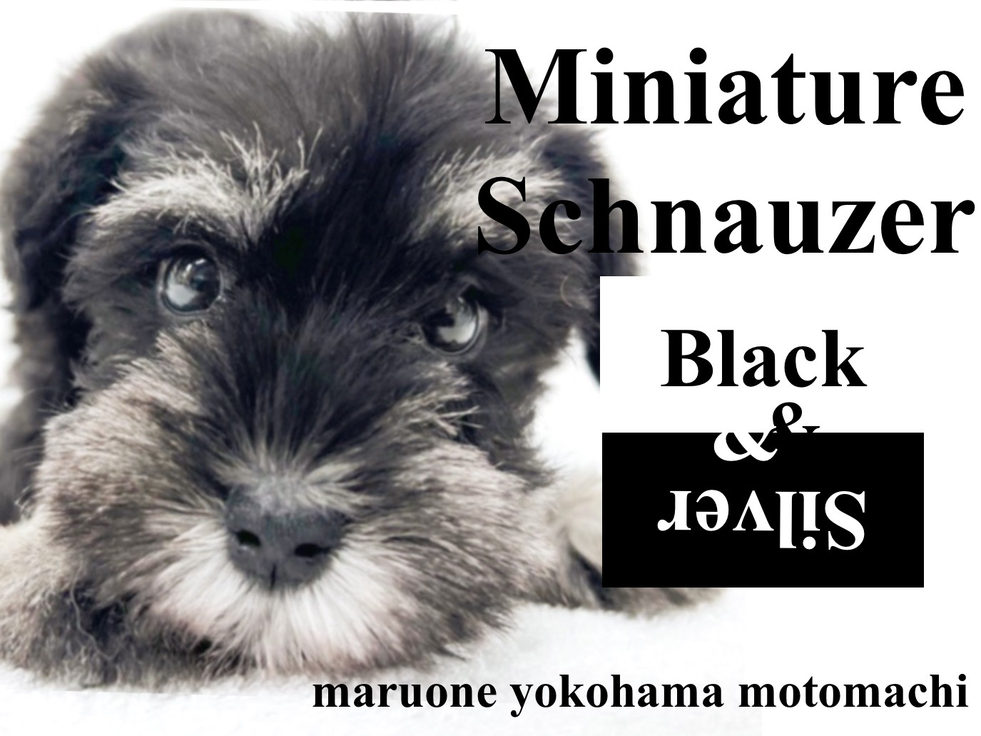 511c57ed0327f48a5fa2d0d132f32d