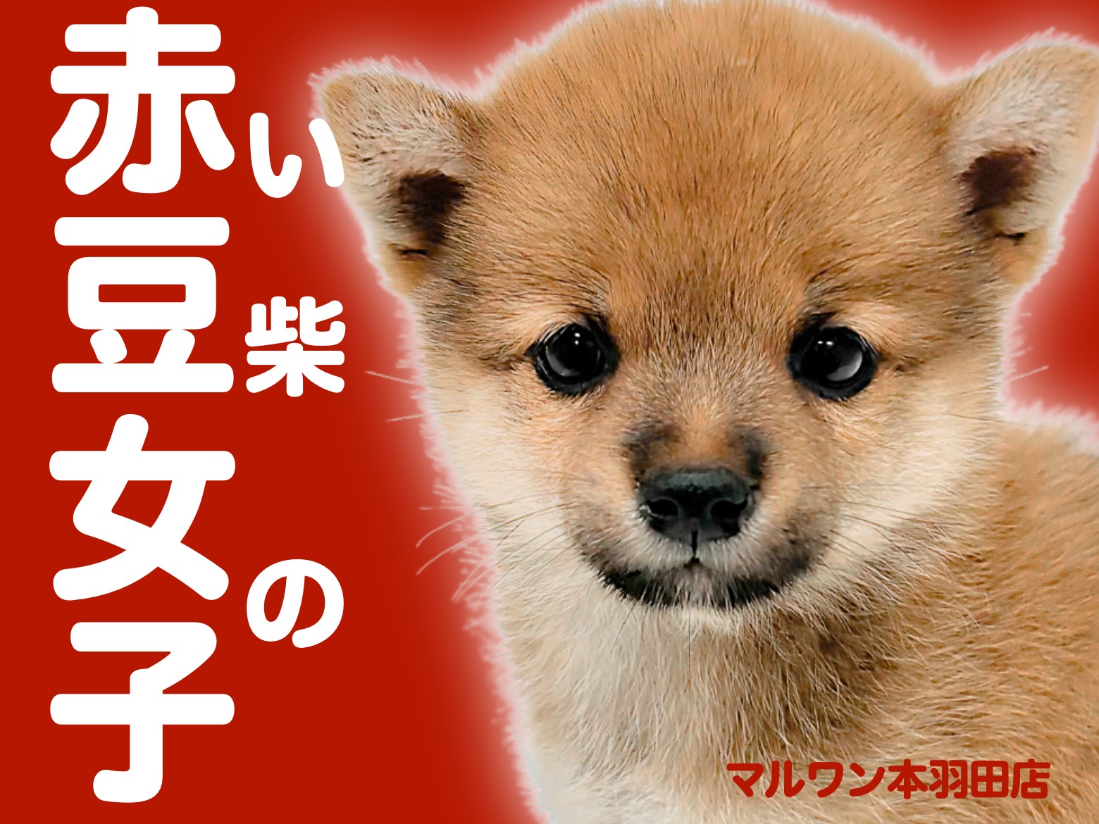 b53f21c30ca67eeeaa53c3e1b6453f