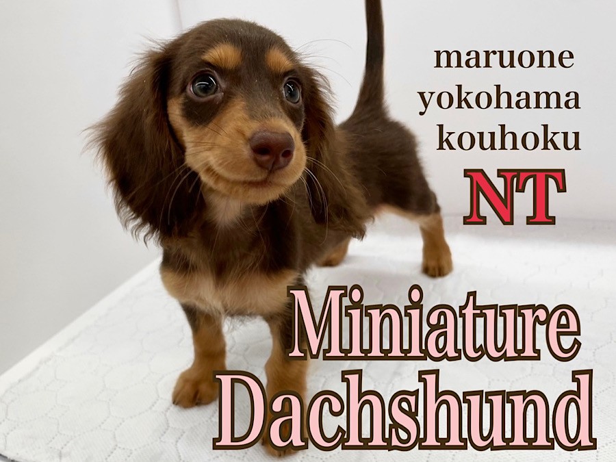 c0a16b7786035fe1efe3e9cb0c58f2