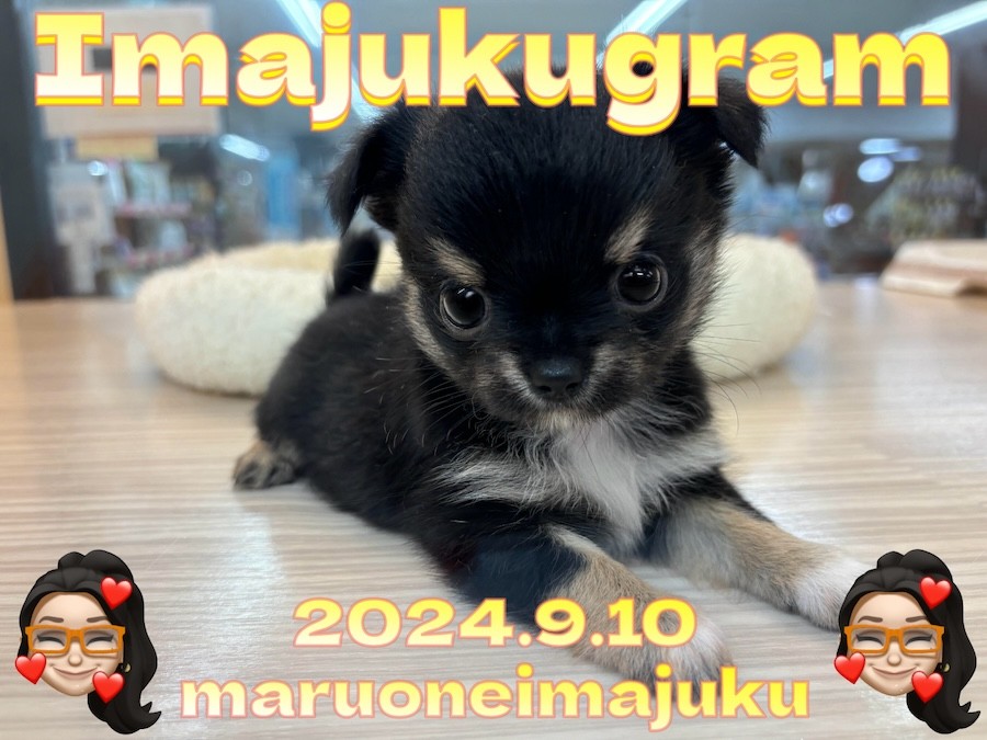 e4c329e30443b87cdd6cd3f514bca8