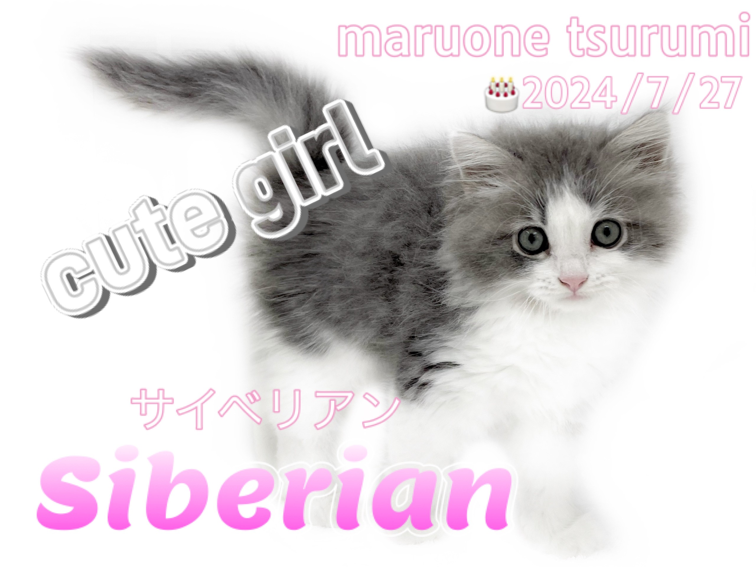 サイベリアン 】上品な容姿にクギヅケ！フレンドリーな女の子