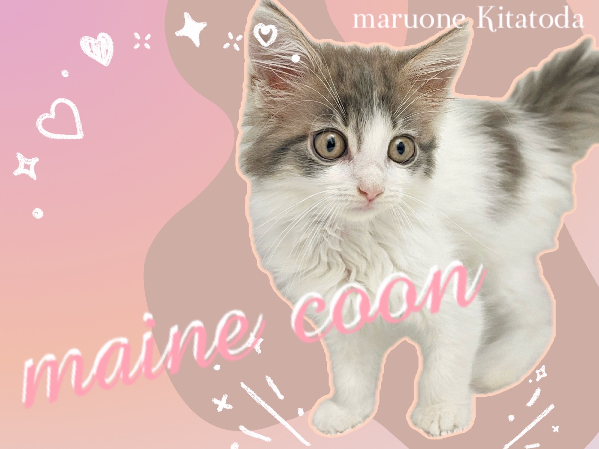 876120a8562c1515e029e1cdff2c69