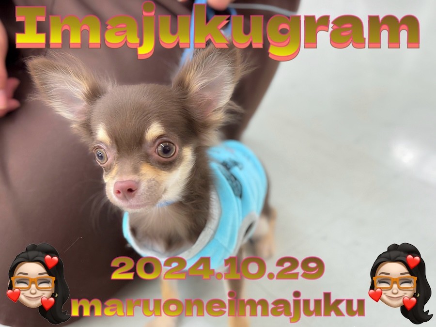 e9770c95091c3dd2a0456c695f7af0