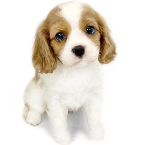 f053df38cb503067885dd631ef90a6