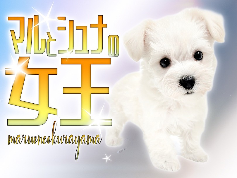 7238aa71349bf8a42dff29380c4d1a