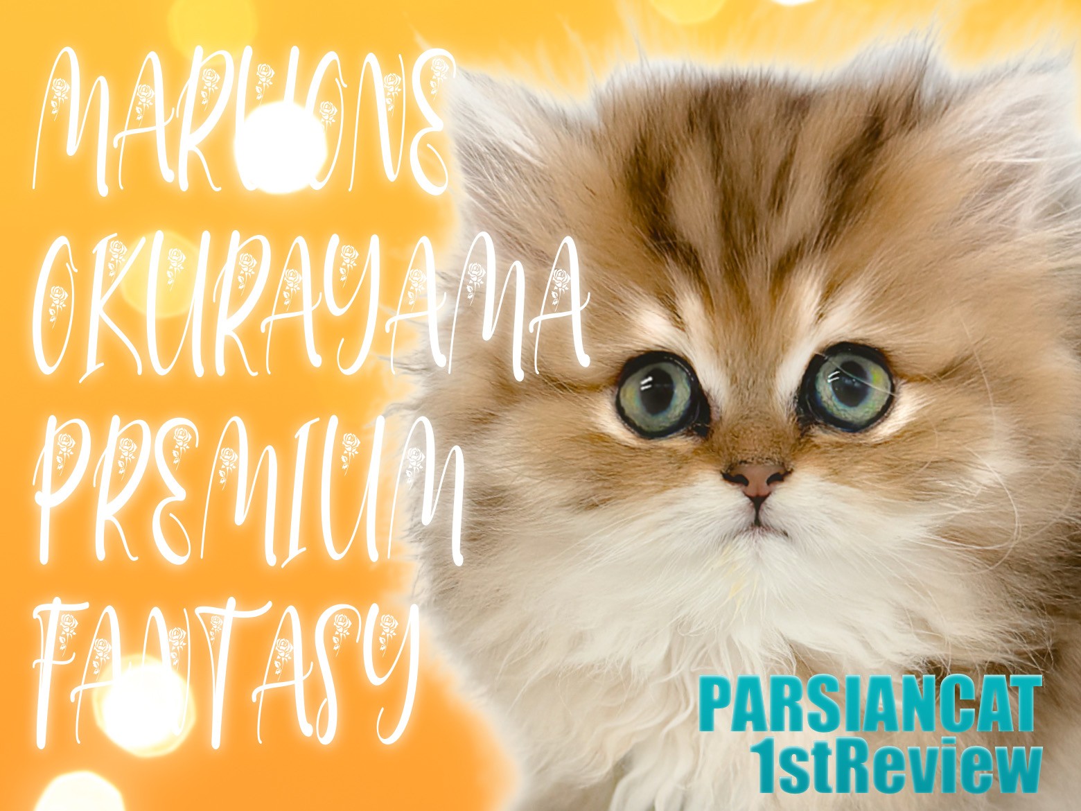 レア　stern社　rubber face ドール　ラバーフェイス　猫　ネコ レア stern社 rubber face ドール ラバーフェイス 猫 ネコ レア stern