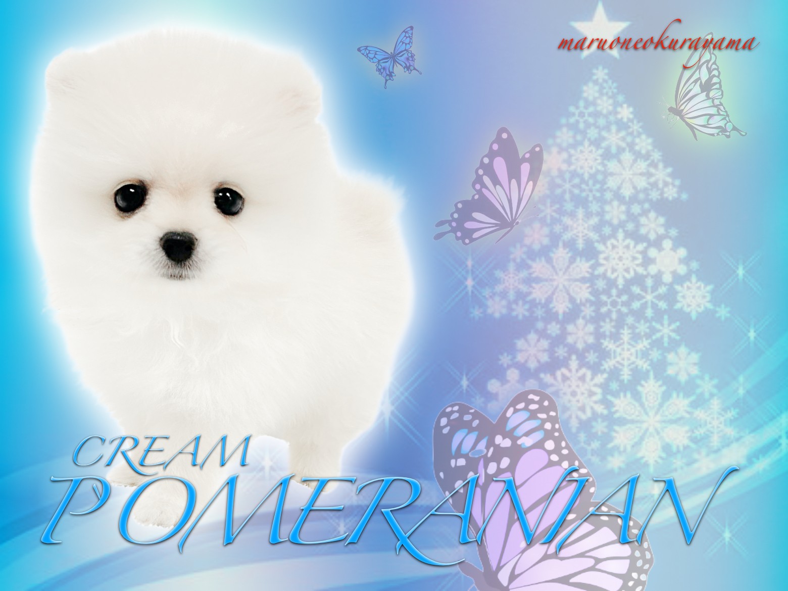 fd708ff3e00be5365bae5d72c69747