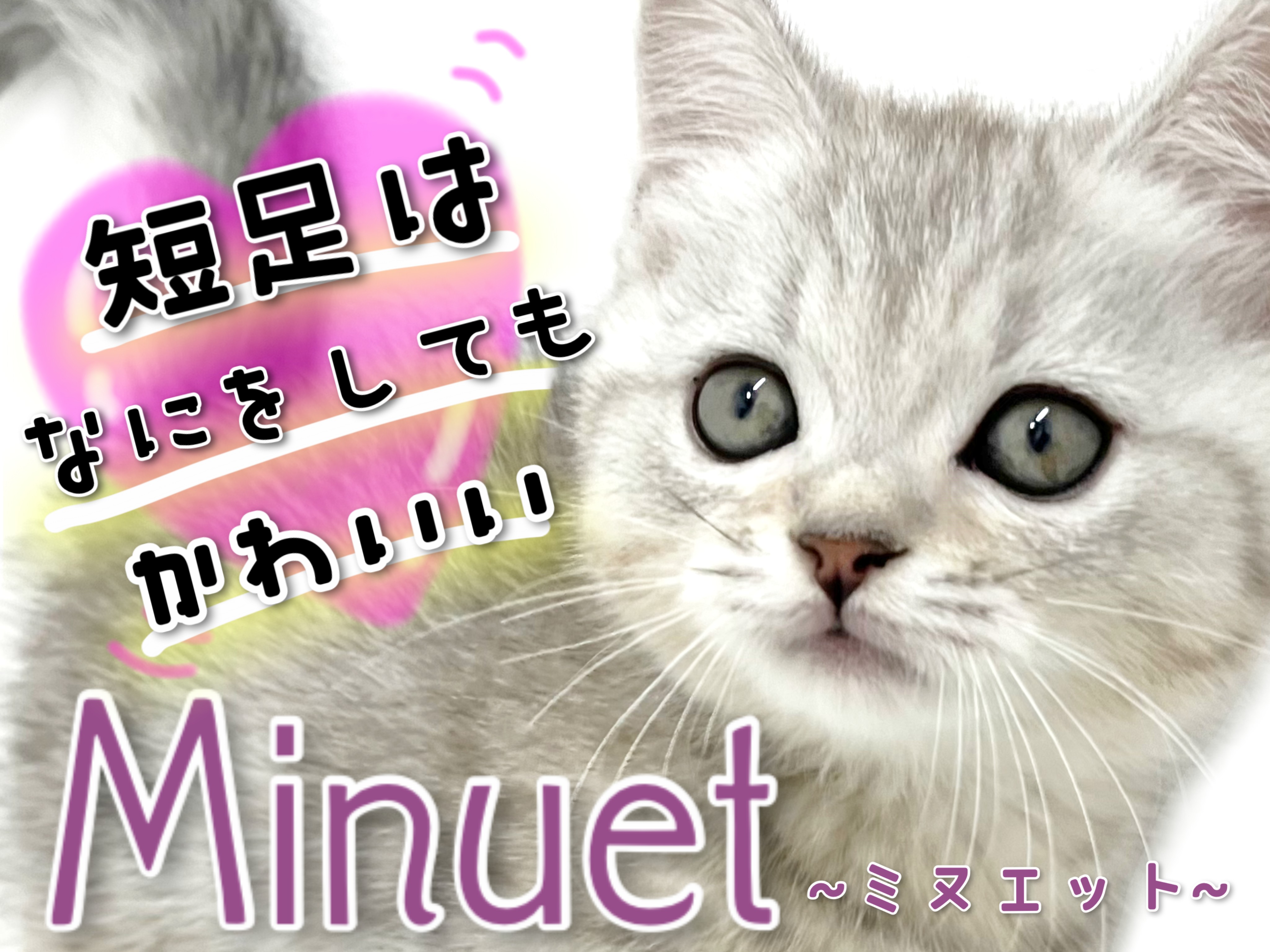 00756856c5e564248d056fbe6883a7