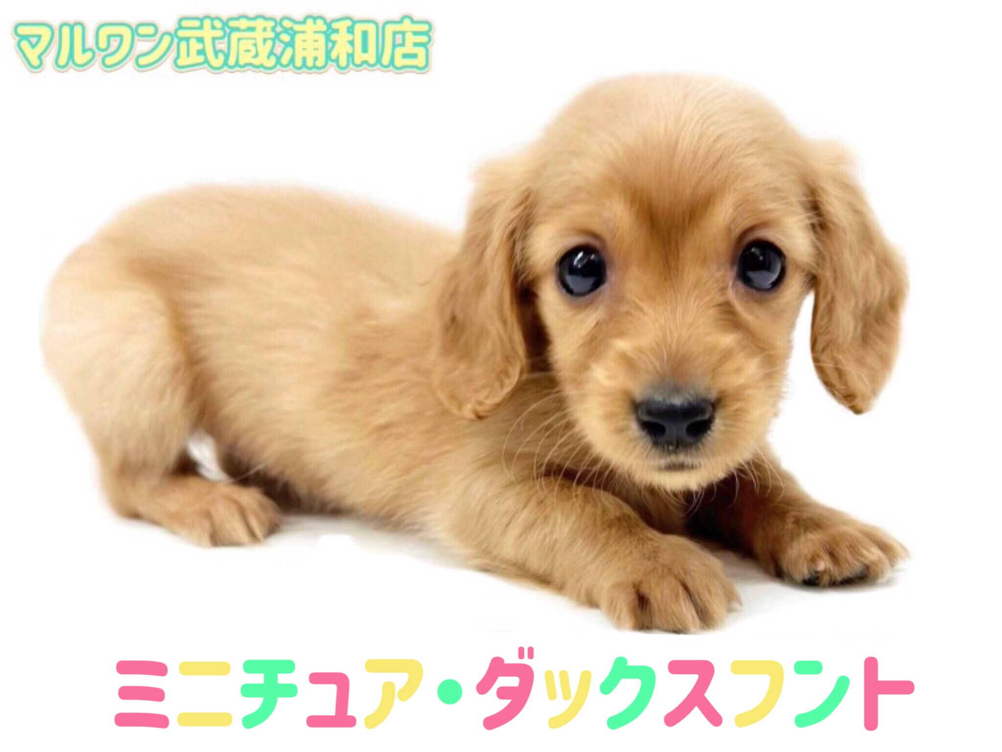 485c5e54155ee0375649366b793fbb