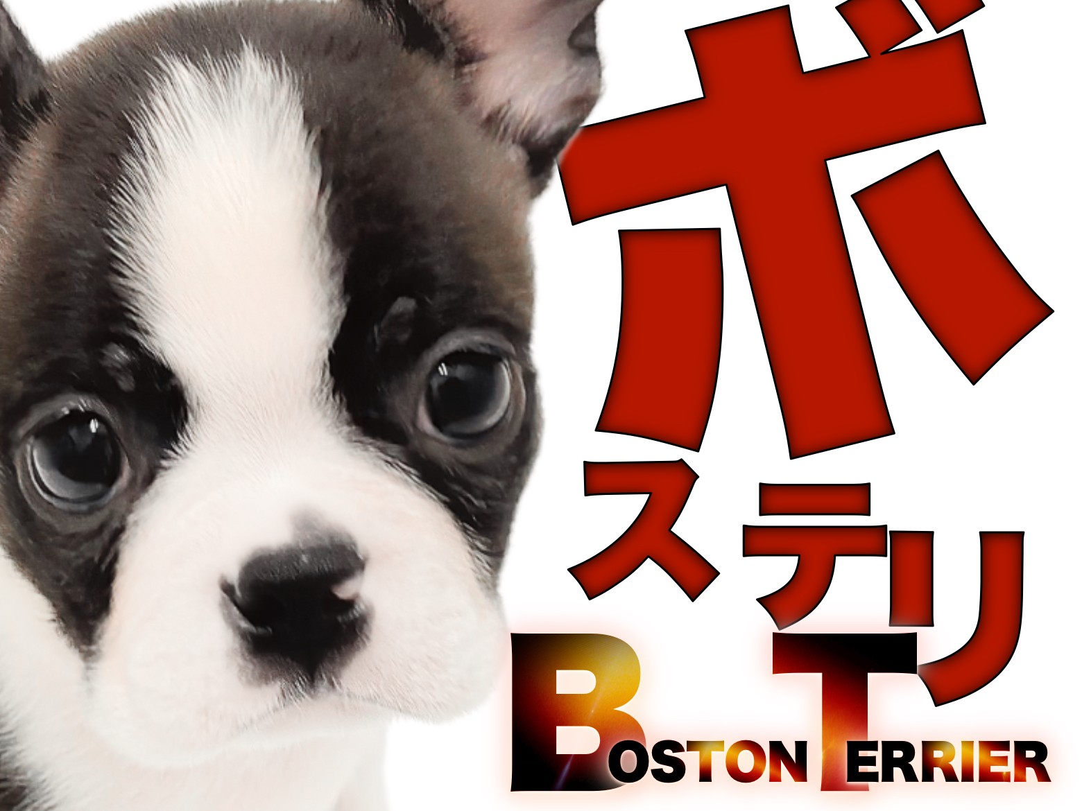 52fb687763b575fdc19aafd7c7fa1a