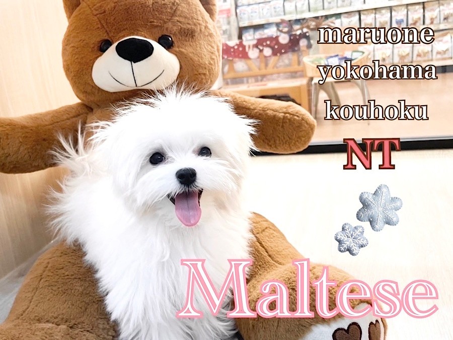 91ca322d92c71fd68da4371d78e92c