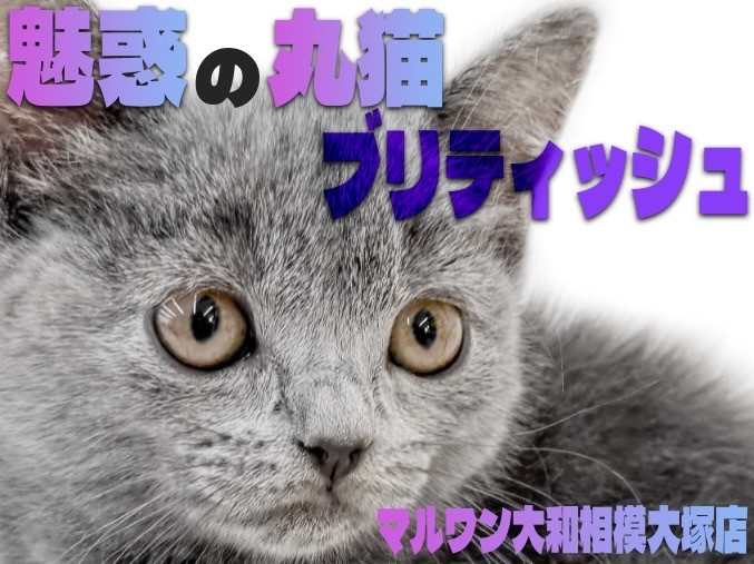 9fc4f26b9954287568b92106637ee6