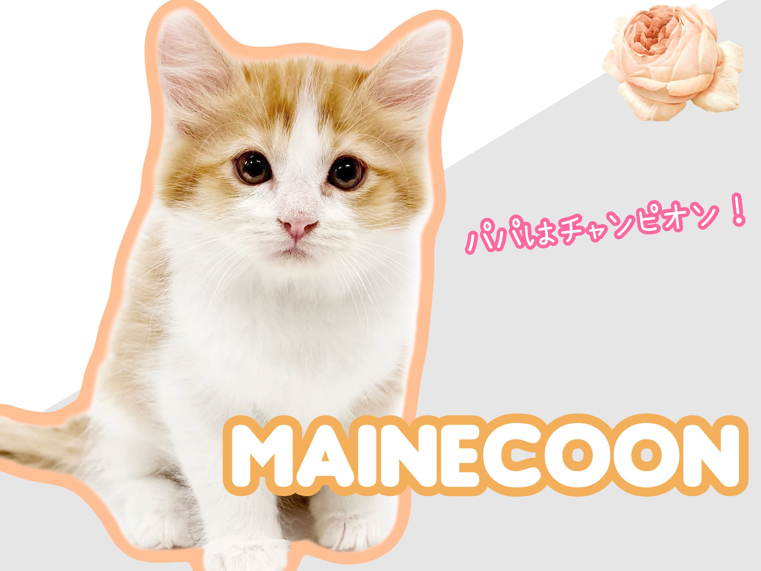 eabbabd7c983bca4e4d534b54f879b