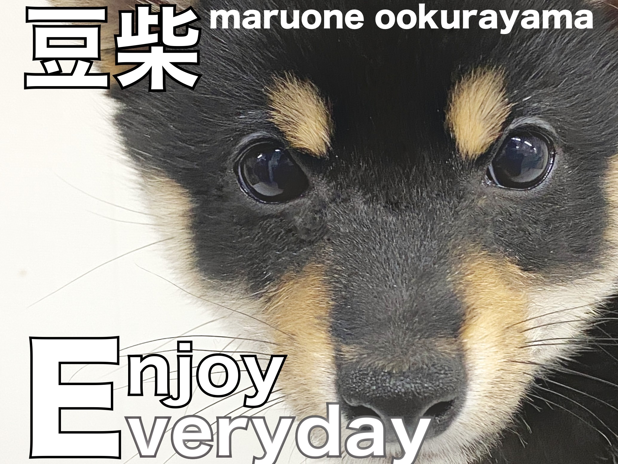 2c7cf3fc780d1312f0a89ae7f82f95