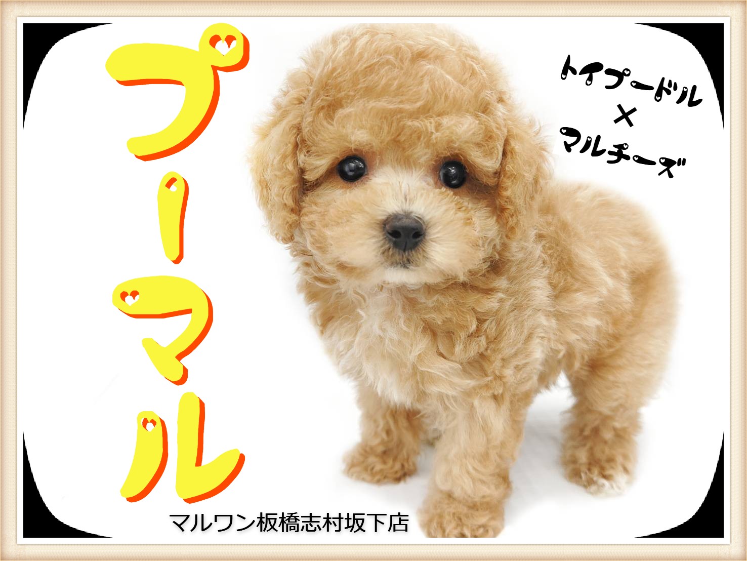 63aeb284b0e6819409a9e8fc6d55af